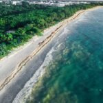 10011